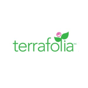 Fleuriste Terrafolia Flowers